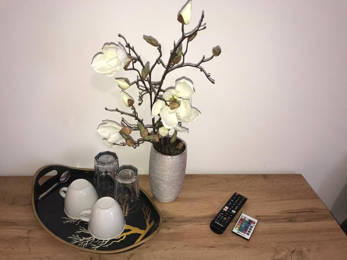 Kiszombor To- Party Panorama Panzio & Wellness酒店 外观 照片